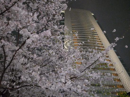 トリップアドバイザー提供