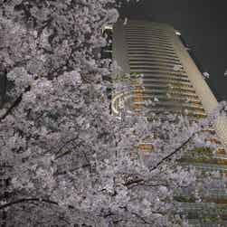 トリップアドバイザー提供