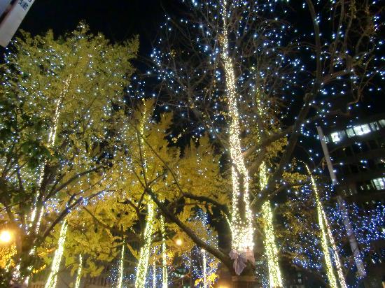 トリップアドバイザー提供