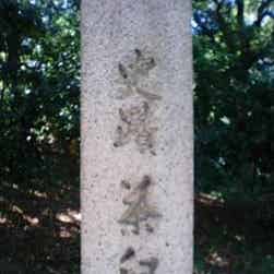 トリップアドバイザー提供