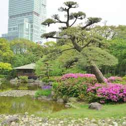 トリップアドバイザー提供