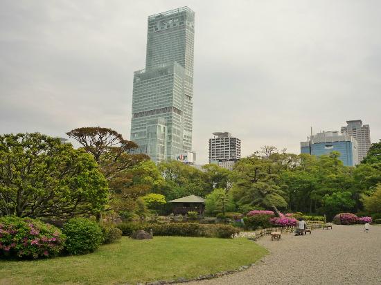 トリップアドバイザー提供