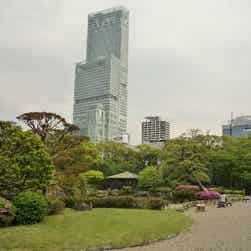 トリップアドバイザー提供