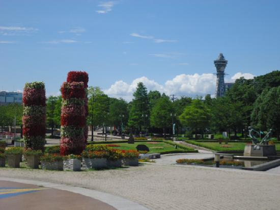 トリップアドバイザー提供