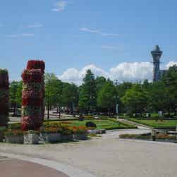 トリップアドバイザー提供