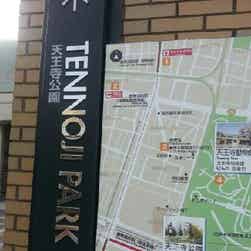 トリップアドバイザー提供