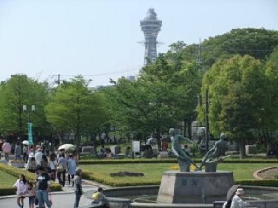 トリップアドバイザー提供