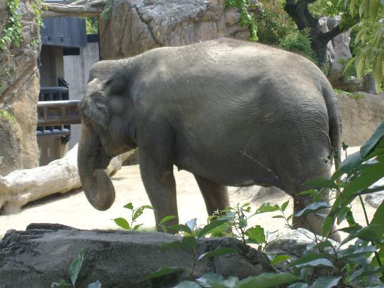 トリップアドバイザー提供