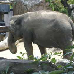 トリップアドバイザー提供