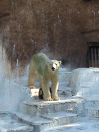 トリップアドバイザー提供