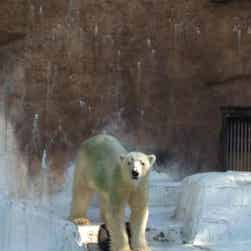 トリップアドバイザー提供