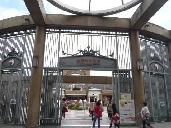 トリップアドバイザー提供