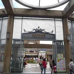 トリップアドバイザー提供