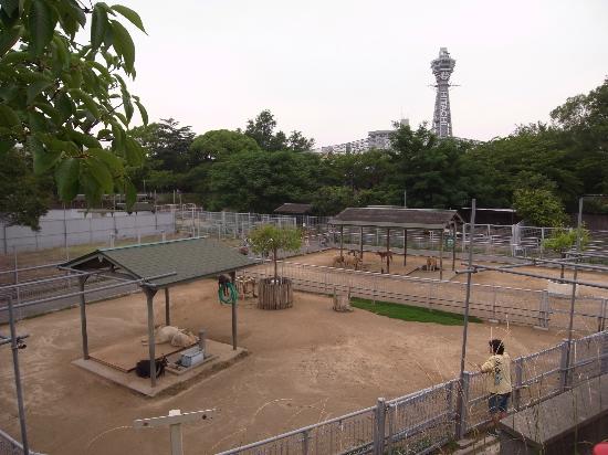 トリップアドバイザー提供