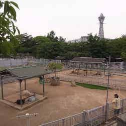 トリップアドバイザー提供