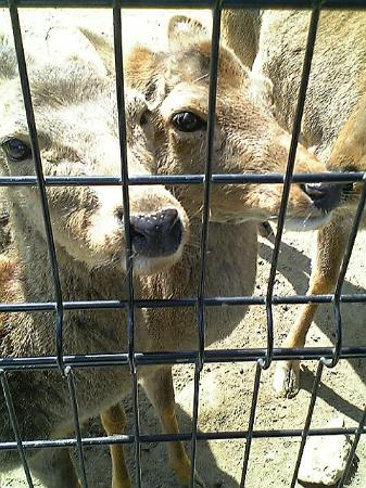 トリップアドバイザー提供