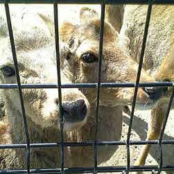 トリップアドバイザー提供