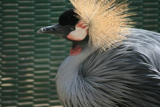 トリップアドバイザー提供