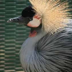 トリップアドバイザー提供