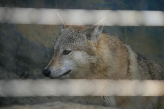 トリップアドバイザー提供