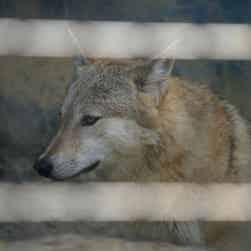 トリップアドバイザー提供