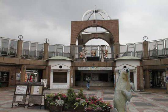 トリップアドバイザー提供