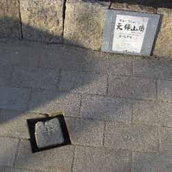 トリップアドバイザー提供