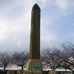 トリップアドバイザー提供