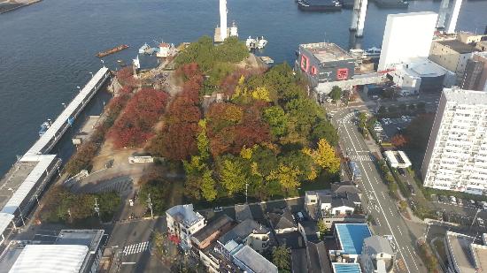 トリップアドバイザー提供