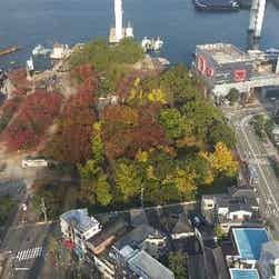 トリップアドバイザー提供