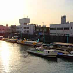 トリップアドバイザー提供