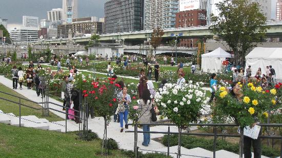 トリップアドバイザー提供