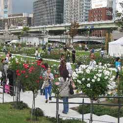 トリップアドバイザー提供