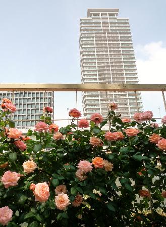 トリップアドバイザー提供