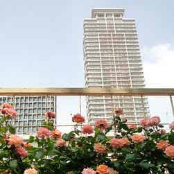 トリップアドバイザー提供