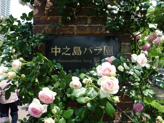 トリップアドバイザー提供