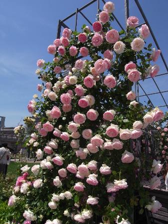 トリップアドバイザー提供