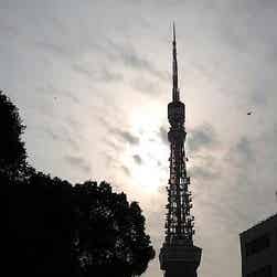 トリップアドバイザー提供