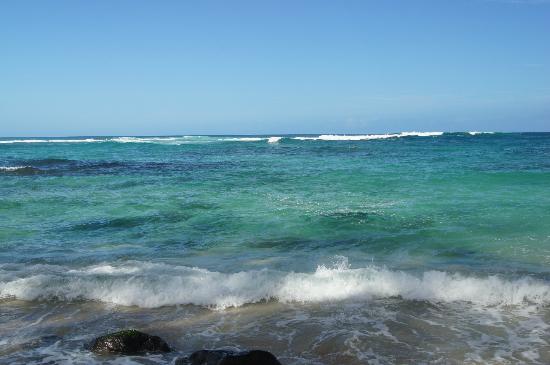 トリップアドバイザー提供