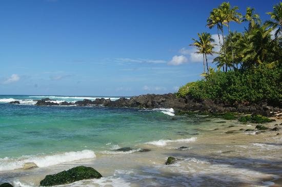 トリップアドバイザー提供