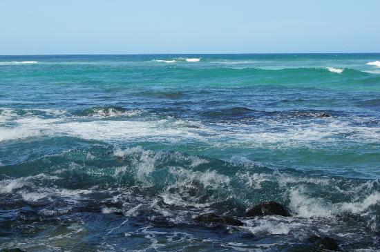 トリップアドバイザー提供