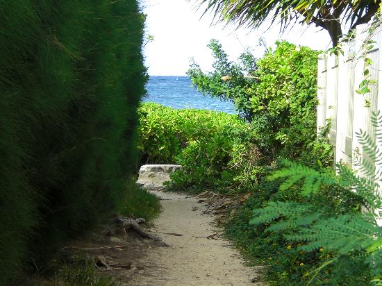 トリップアドバイザー提供