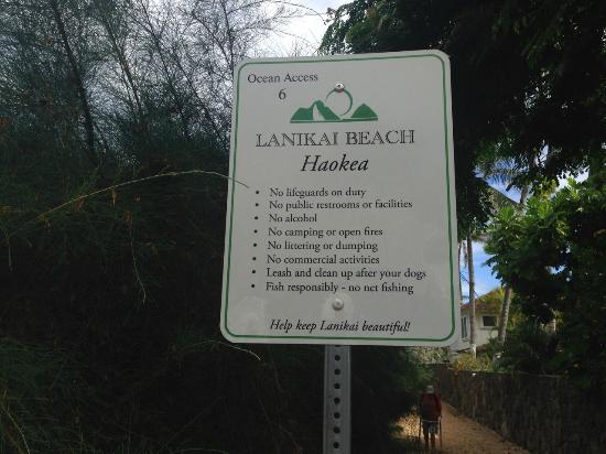 トリップアドバイザー提供