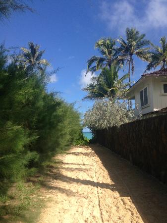 トリップアドバイザー提供