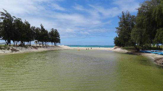 トリップアドバイザー提供