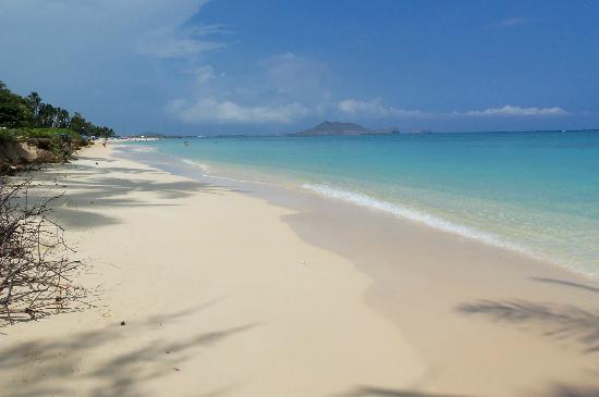 トリップアドバイザー提供