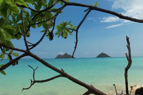 トリップアドバイザー提供