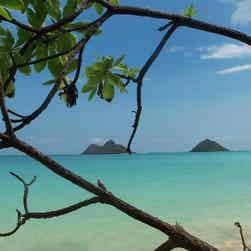 トリップアドバイザー提供