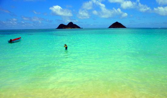 トリップアドバイザー提供