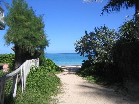 トリップアドバイザー提供